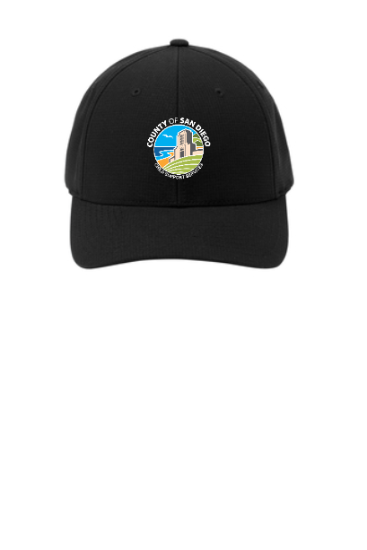 C301 Solid  Color Hat DPC
