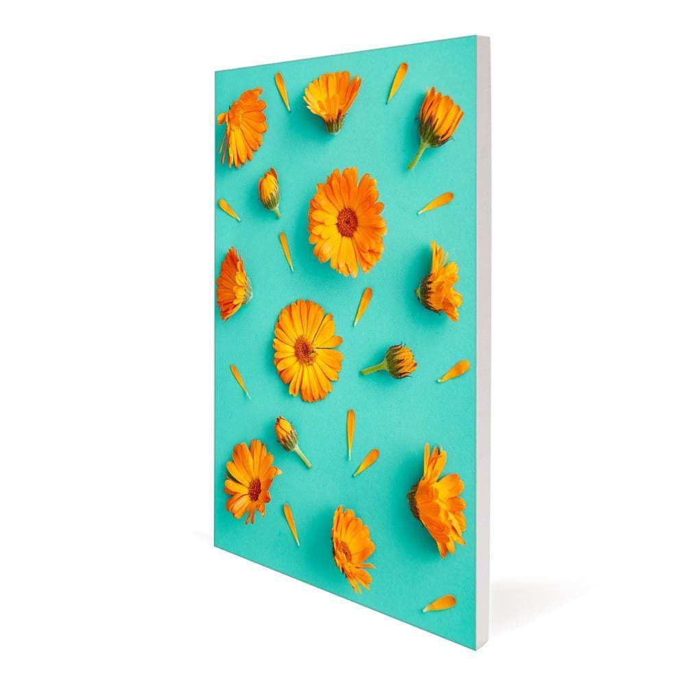 Aspen Slim Wall Mounted Single-Sided Graphic Package - WS Display