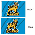 Mesh Flags - WS Display